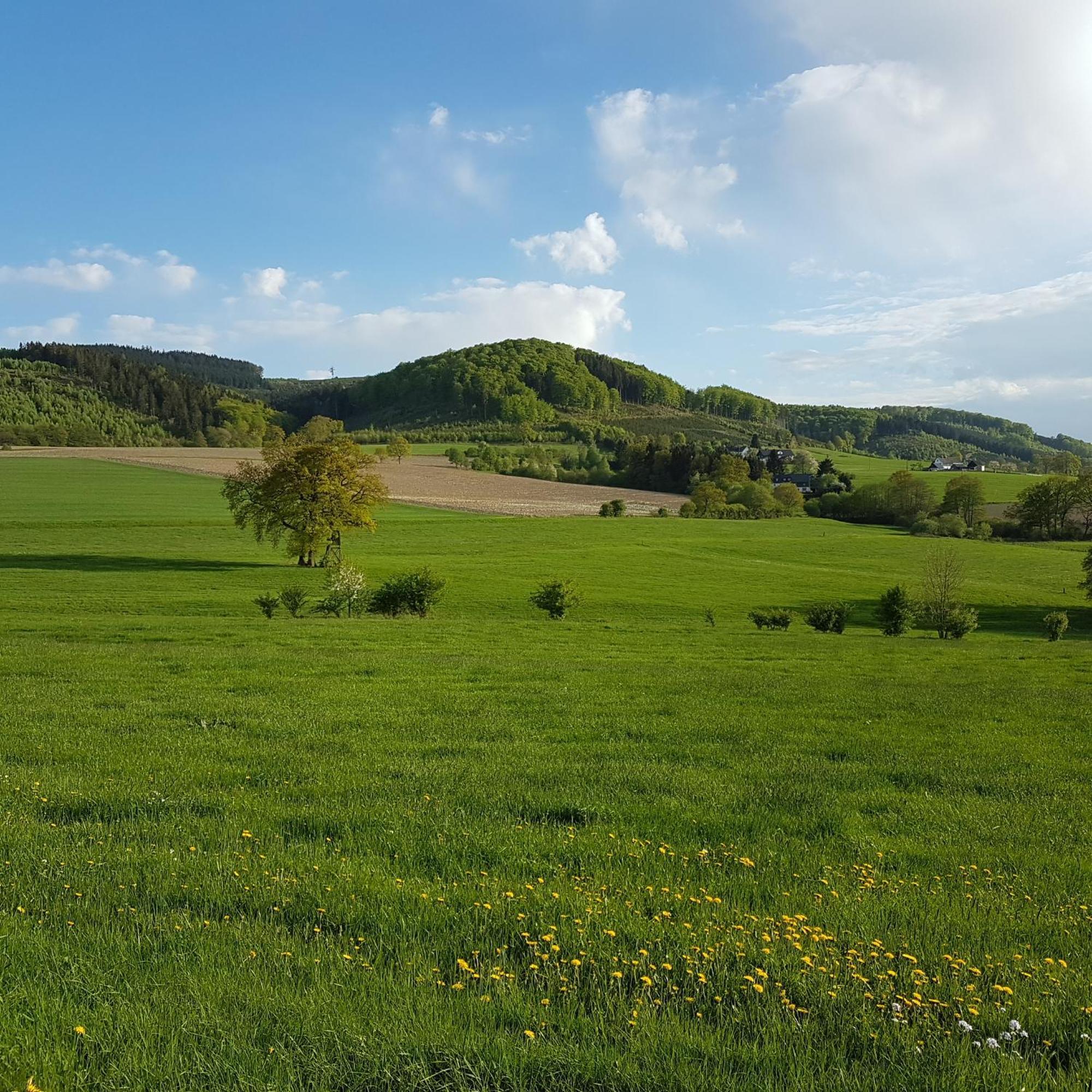 Appartement Freundliche Sauerland *