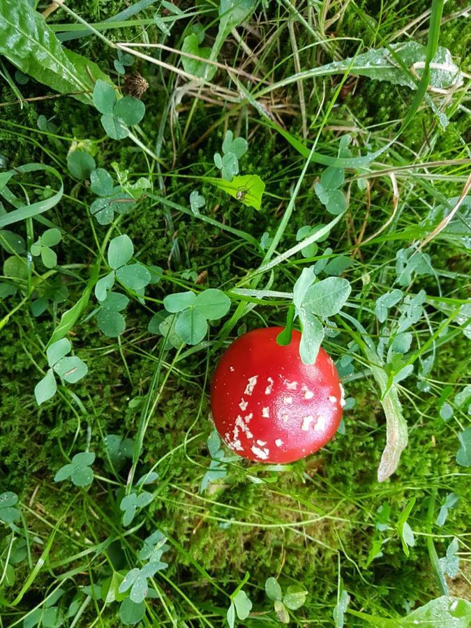 Freundliche Sauerland