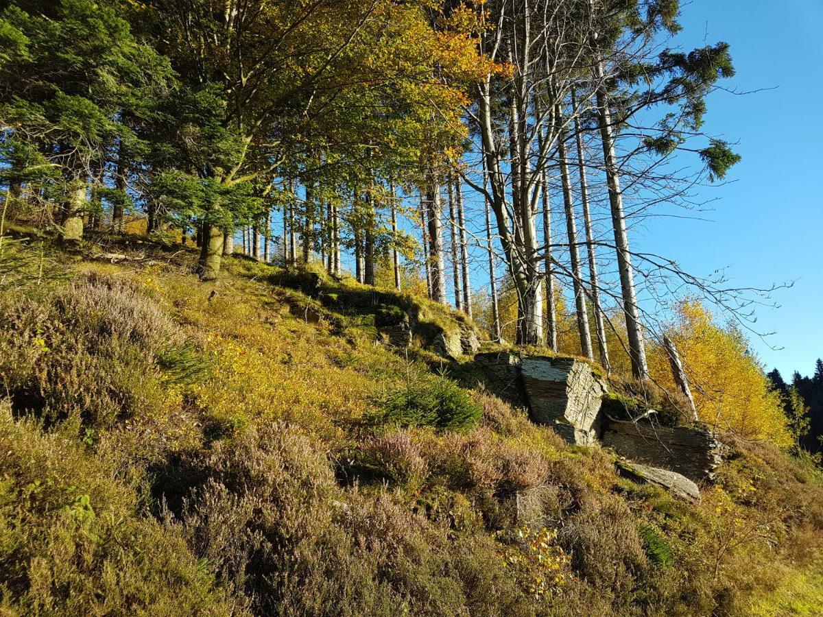 Freundliche Sauerland * Meschede